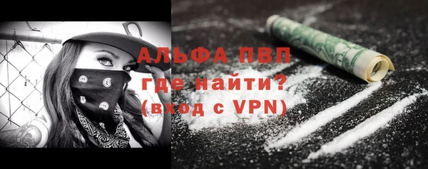 PSILOCYBIN Аша