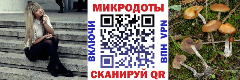 кракен сайт  Гдов  Галлюциногенные грибы Cubensis 